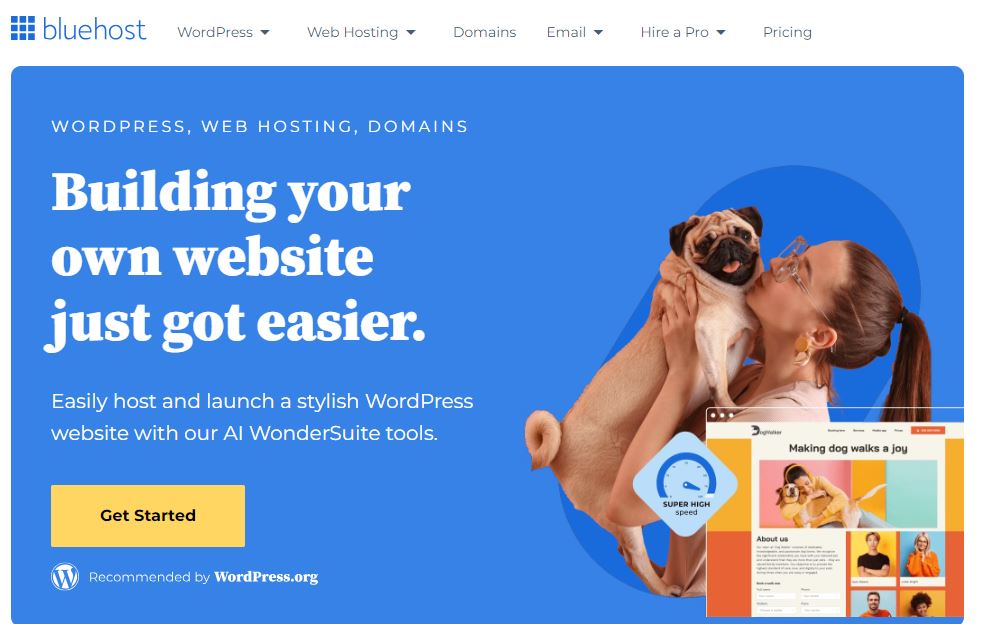Blue-Host Hosting