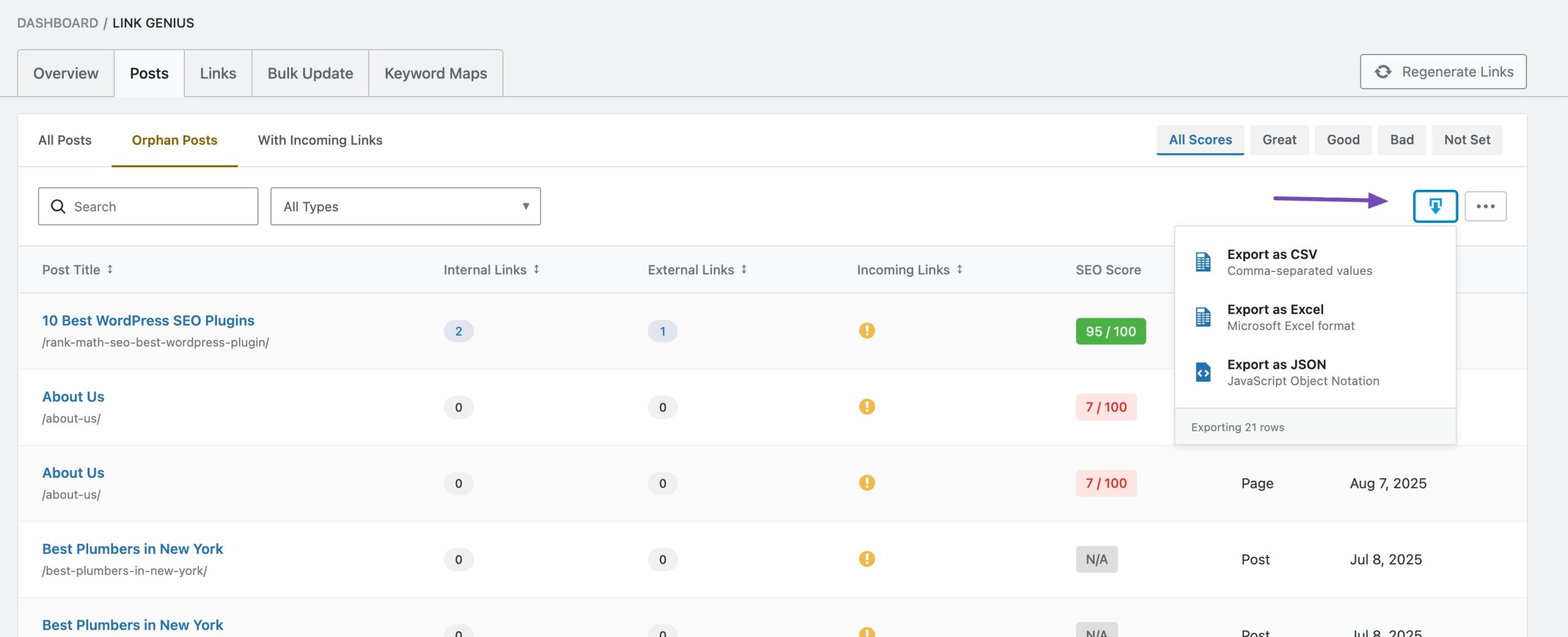 Rankmath AI Link Genius Review - Export and Reporting